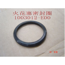  УПЛОТНИТЕЛЬ СВЕЧНОГО КОЛОДЦА 491 GW DEER SAFE  1003012-E00