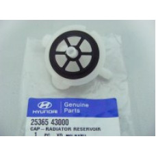 Крышка расширительного бака 2536543000