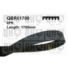 Поликлиновой ремень QBR61700, 